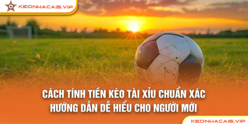 Cách Tính Tiền Kèo Tài Xỉu Chuẩn Xác: Hướng Dẫn Dễ Hiểu Cho Người Mới
