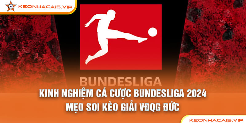 Kinh Nghiệm Cá Cược Bundesliga 2024 – Mẹo Soi Kèo Giải VĐQG Đức